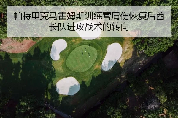 帕特里克马霍姆斯训练营肩伤恢复后酋长队进攻战术的转向